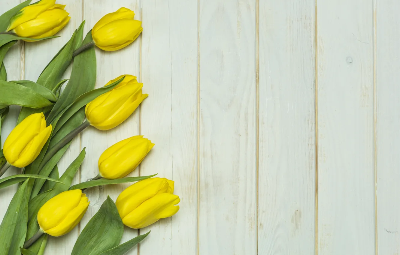 Фото обои цветы, букет, желтые, тюльпаны, fresh, yellow, wood, flowers