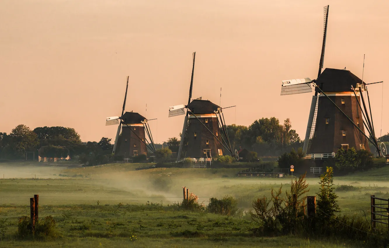 Фото обои поле, небо, деревья, туман, утро, ограждение, мельницы, Нидерланды