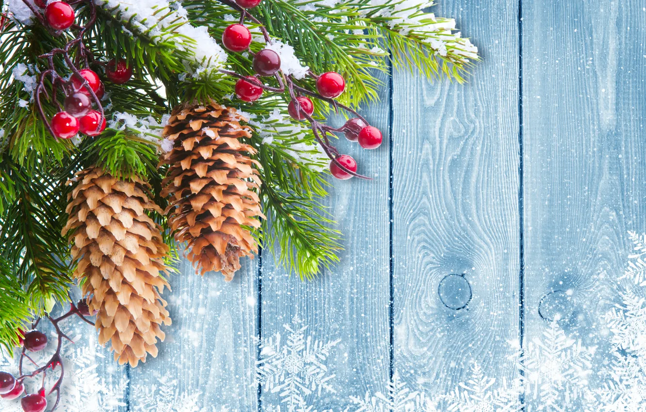 Фото обои зима, снег, елка, Новый Год, Рождество, Christmas, шишки, winter