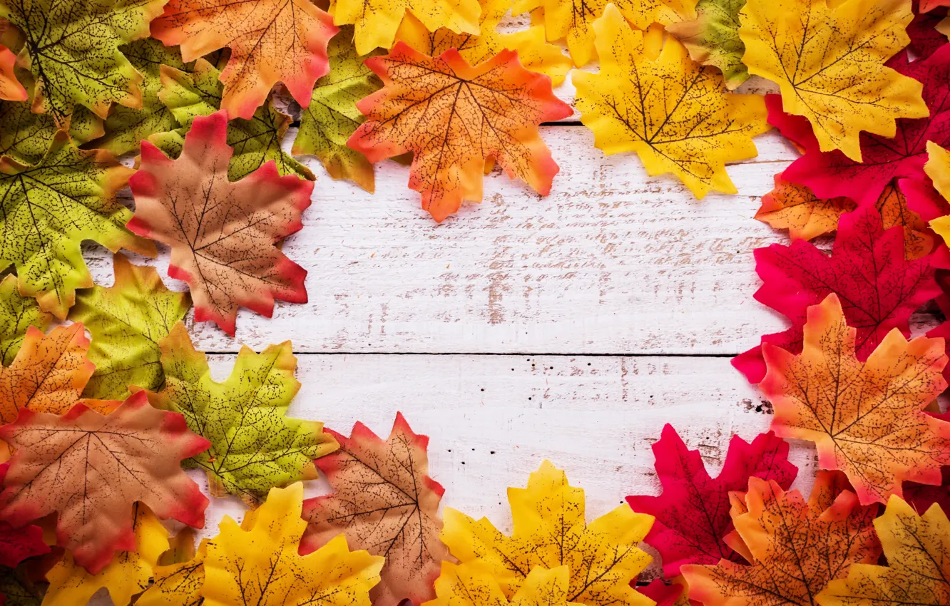 Фото обои осень, листья, фон, дерево, wood, background, autumn, leaves