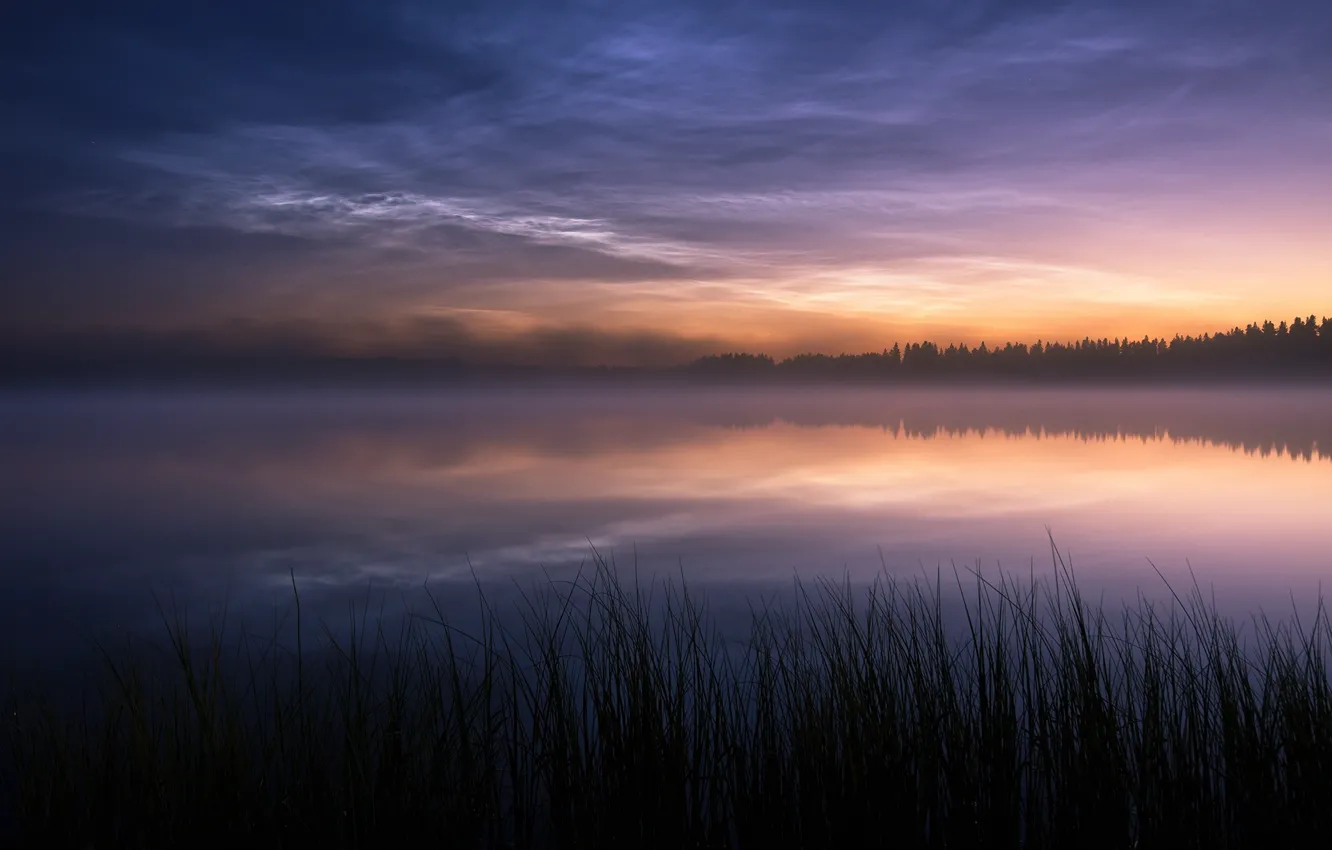 Фото обои природа, туман, озеро, вечер