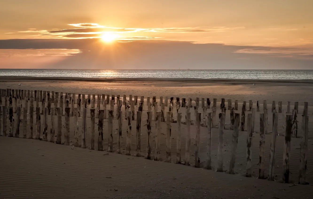 Фото обои summer, beach, sea, sunset, sun