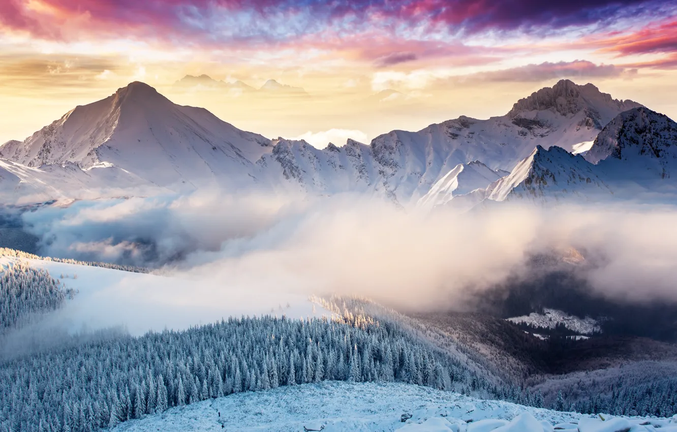 Фото обои windows, microsoft, monoblock, SurfaceStudio, newwallpapers, 28inch
