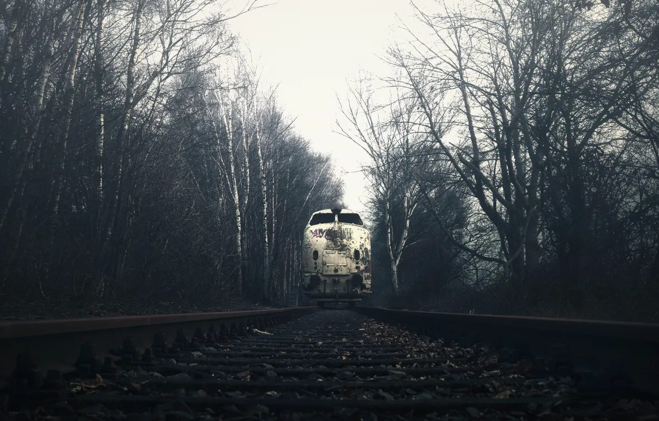 Фото обои туман, поезд, железная дорога