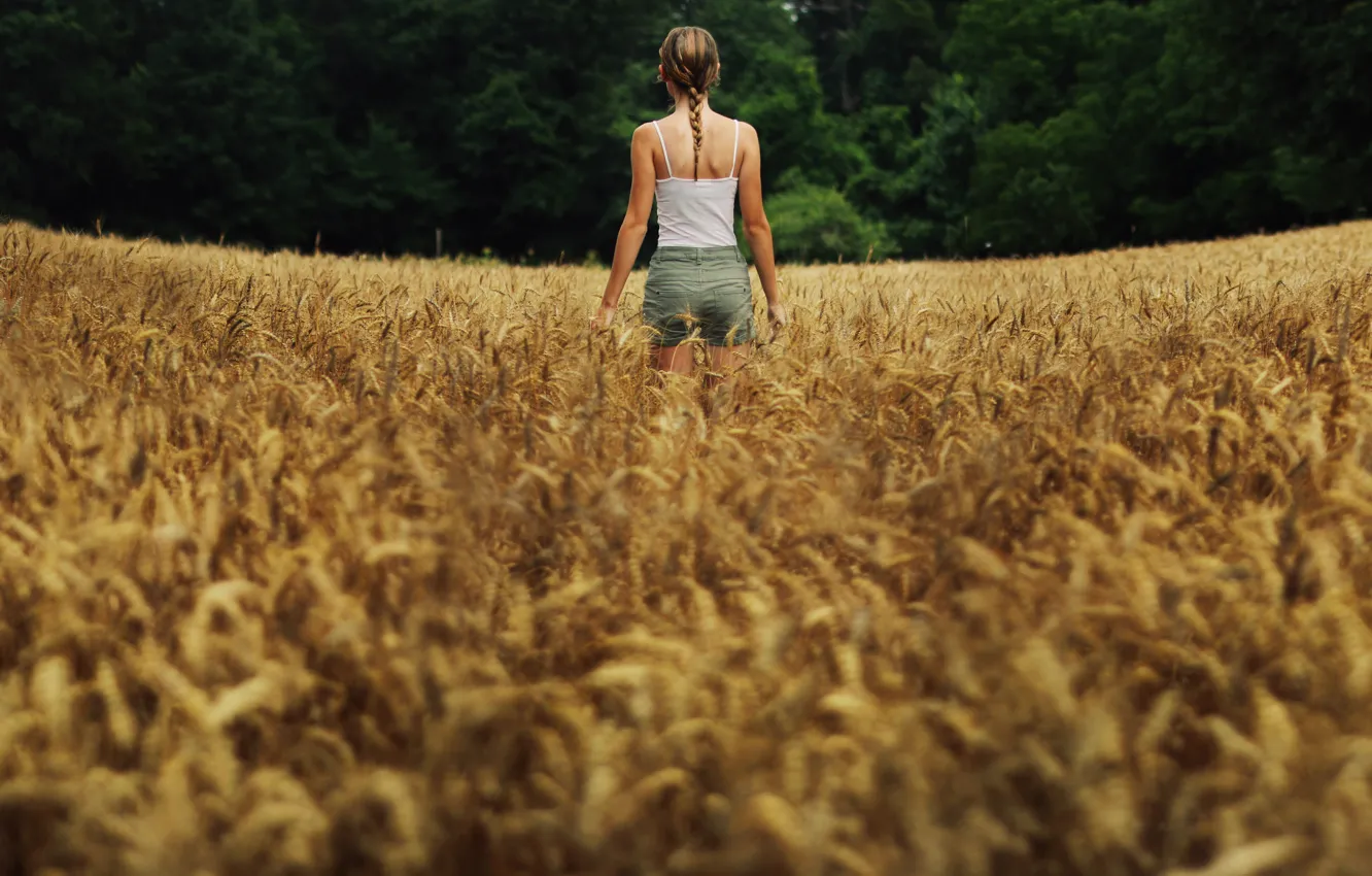 Фото обои поле, лето, девушка, панорама