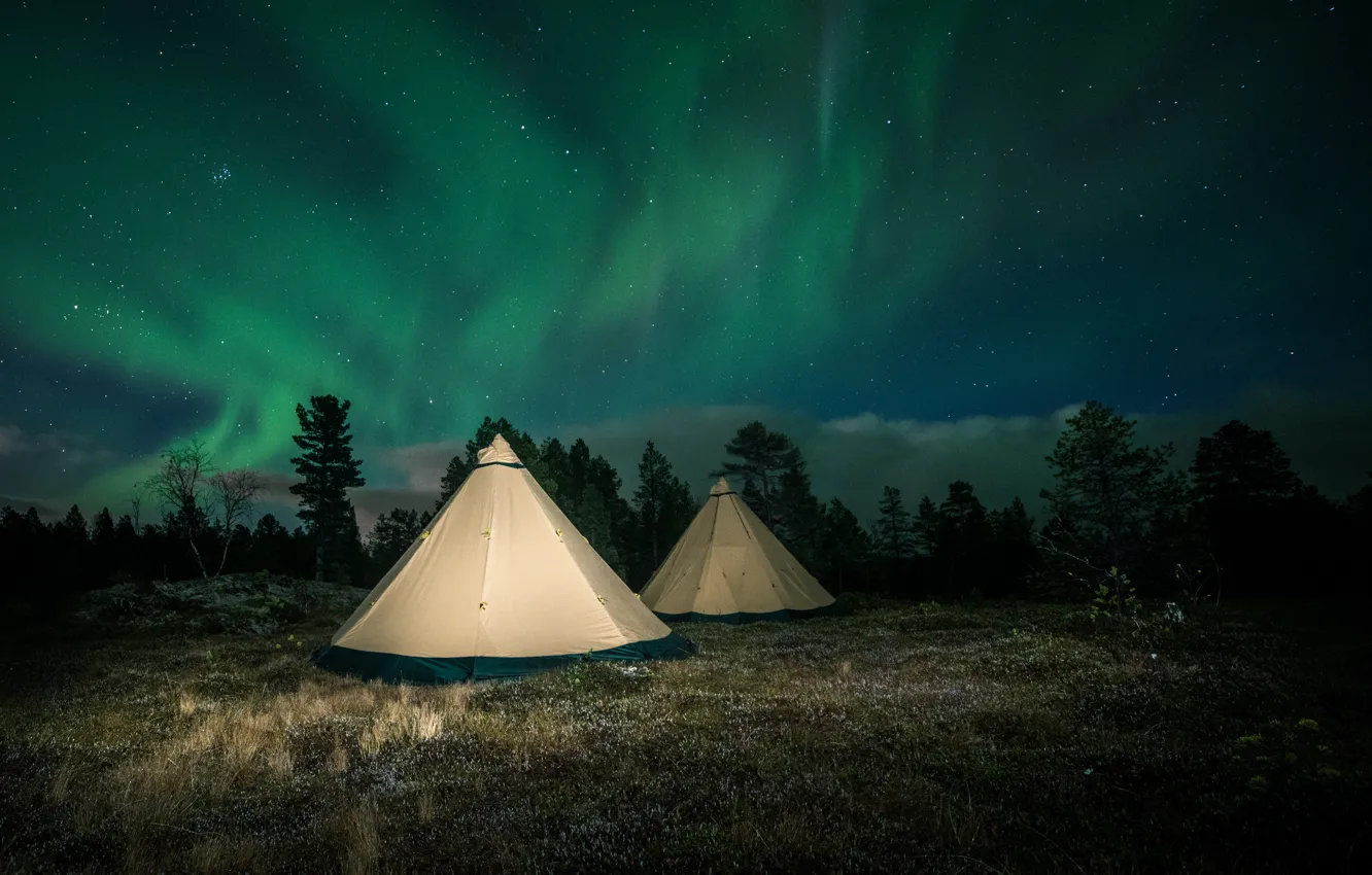 Фото обои лес, небо, деревья, ночь, поляна, звёзды, северное сияние, Финляндия