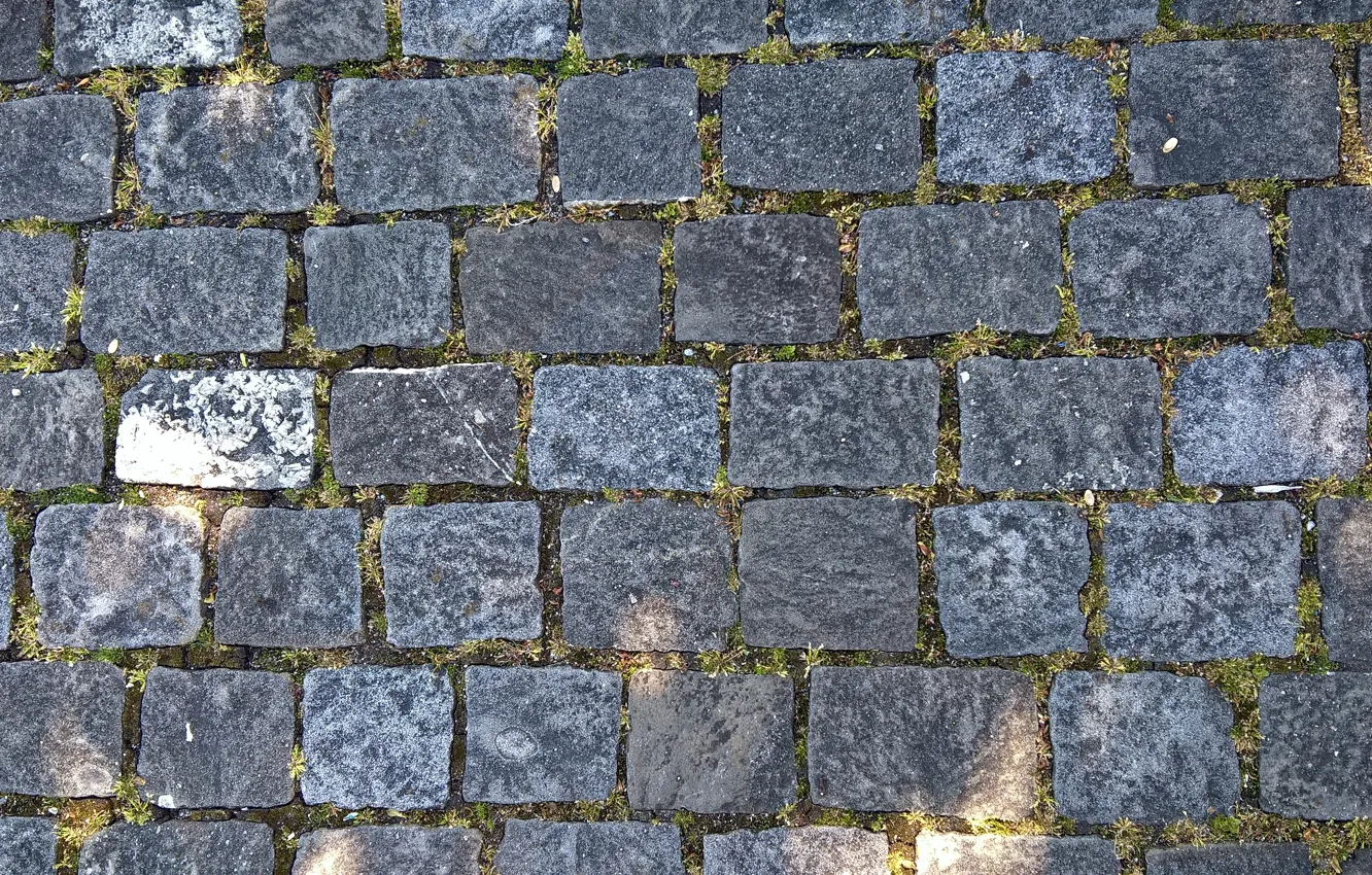 Фото обои wallpaper, grass, road, grey, texture, background, stones, paving-stones