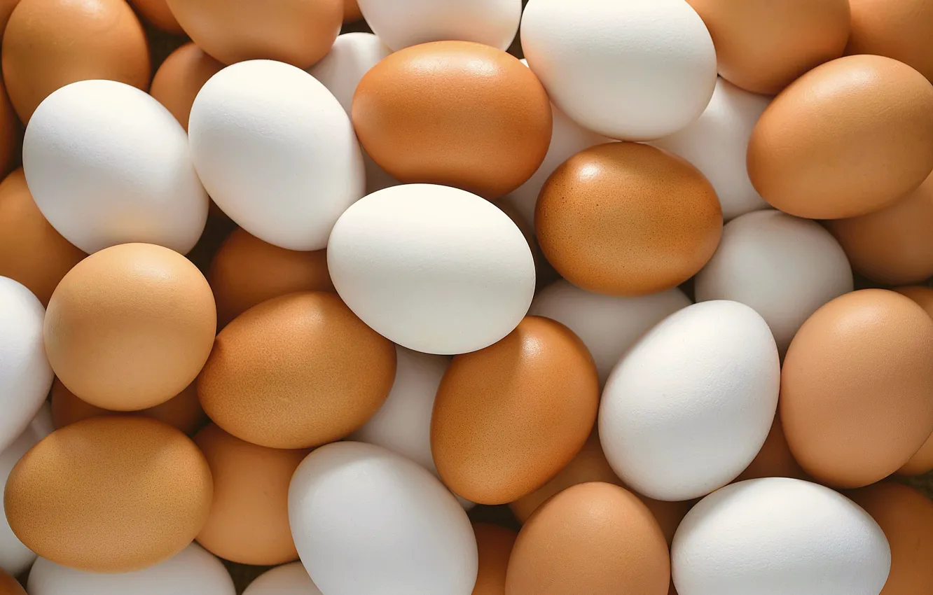 Фото обои food, breakfast, egg