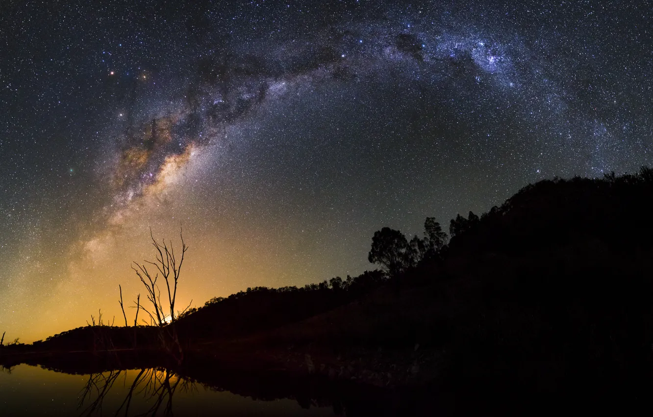 Фото обои космос, звезды, деревья, млечный путь