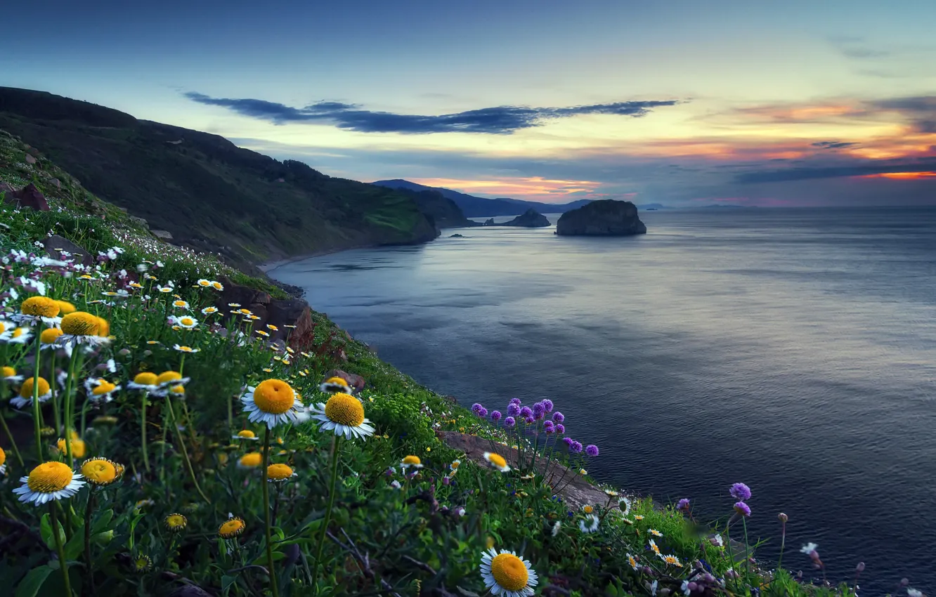 Фото обои море, цветы, берег