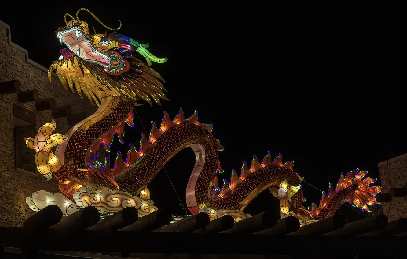 Фото обои ночь, фигура, китайский дракон