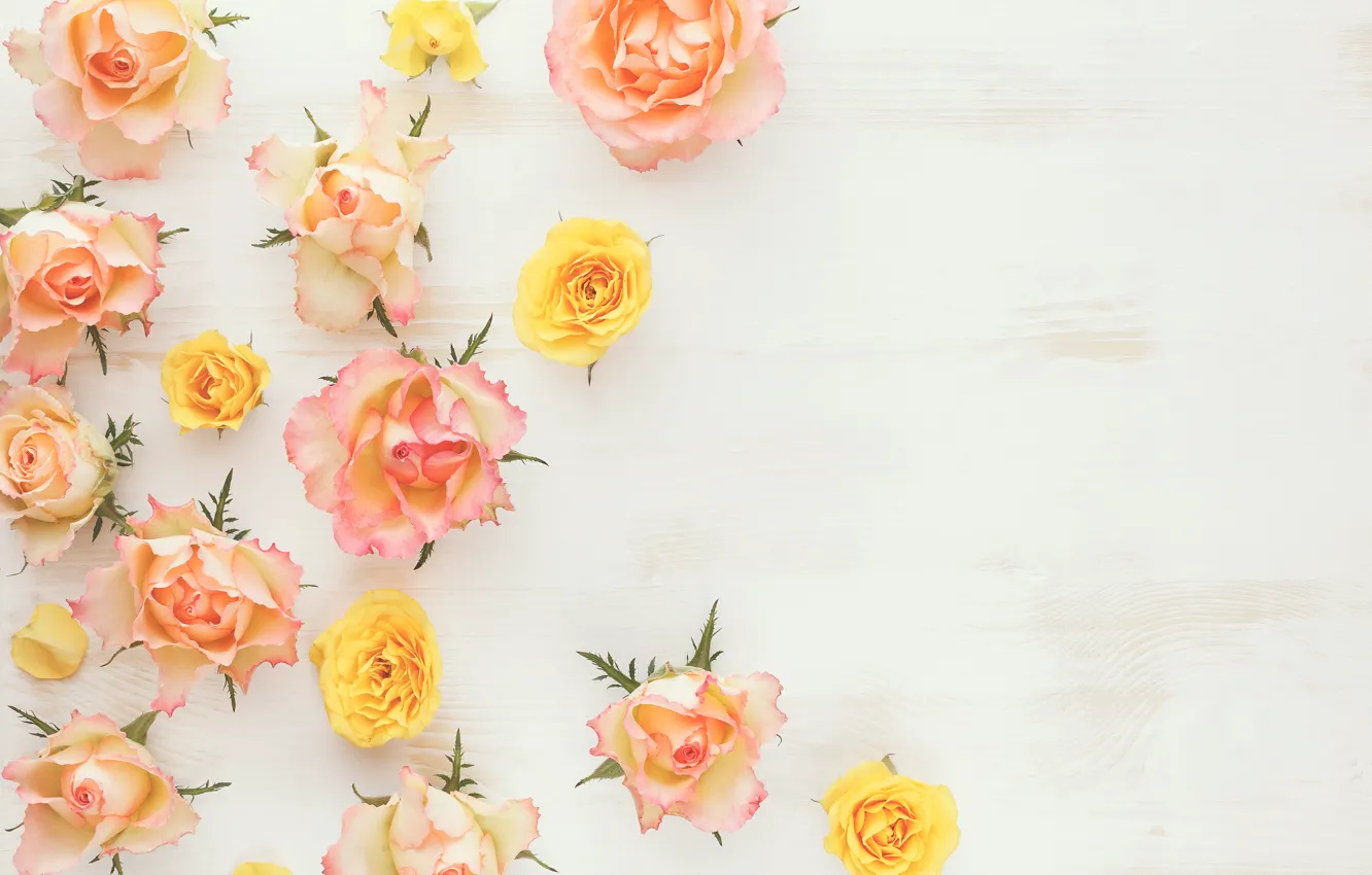 Фото обои wood, flowers, roses