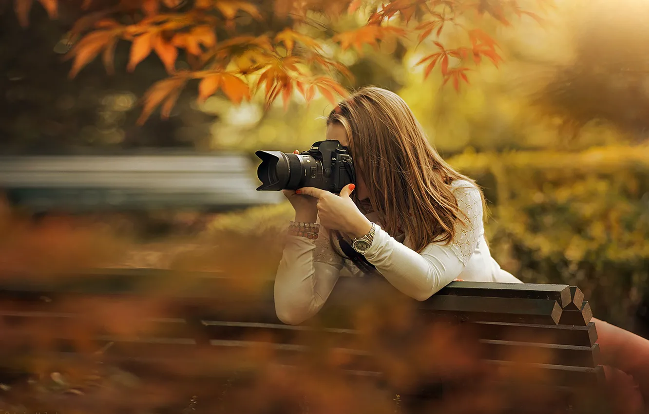 Фото обои осень, девушка, солнце, скамейка, ветки, парк, фотоаппарат, шатенка