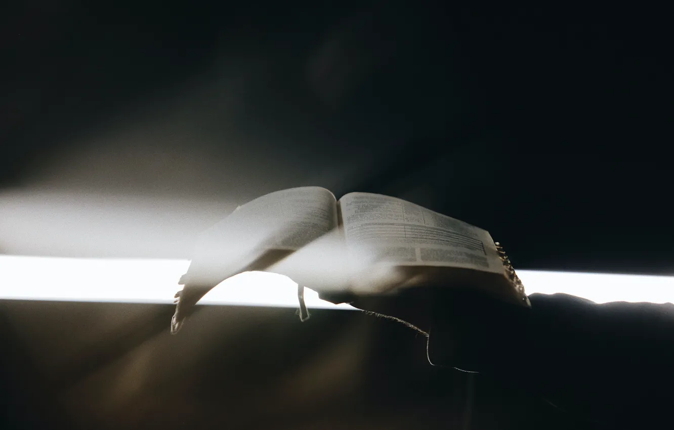 Фото обои Love, Christian, God, Bible, Jesus, Shade, Holy Bible, Joel Muniz