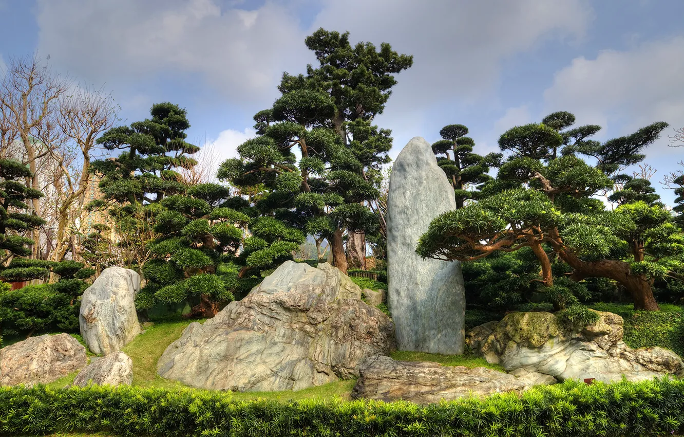 Фото обои трава, деревья, парк, камни, Гонконг, Китай, Nan Lian Garden