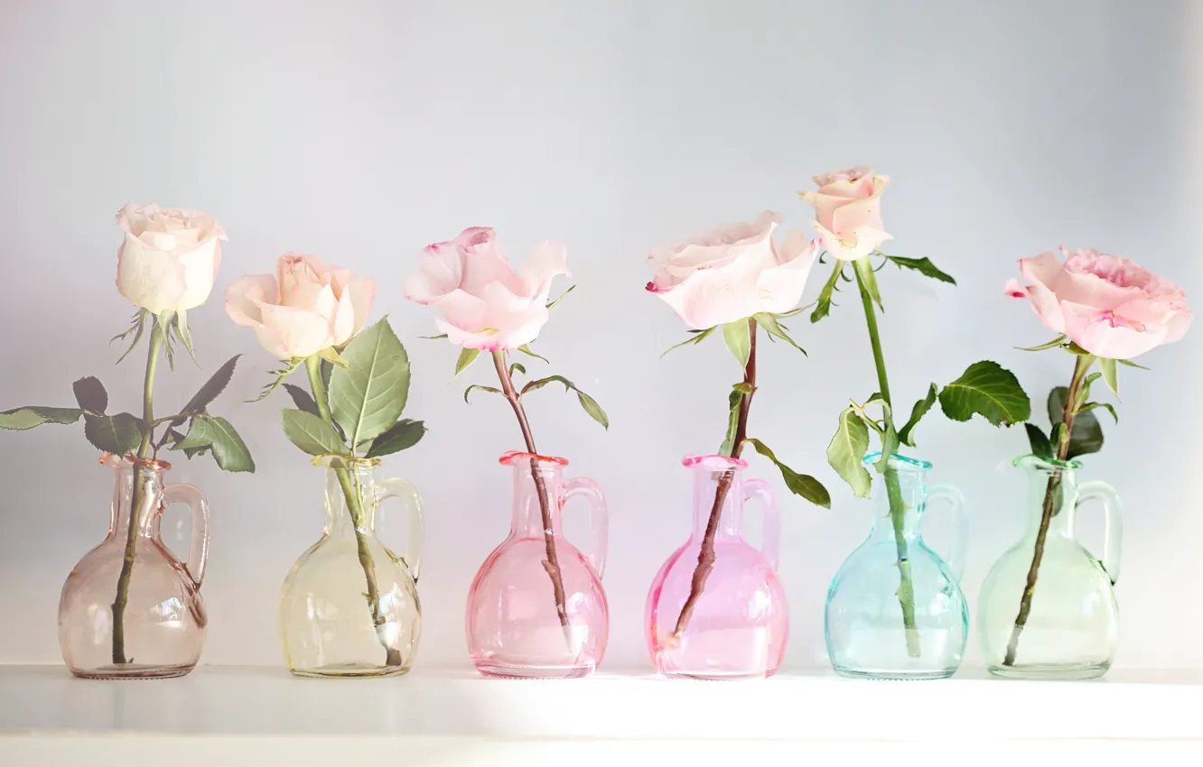 Фото обои розы, бутоны, сосуды, © Elena Di Guardo