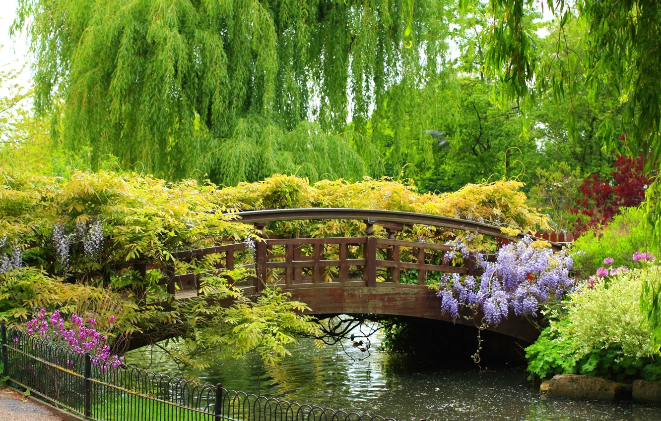 Фото обои деревья, цветы, парк, красота, растения, ограда, речка, мостик
