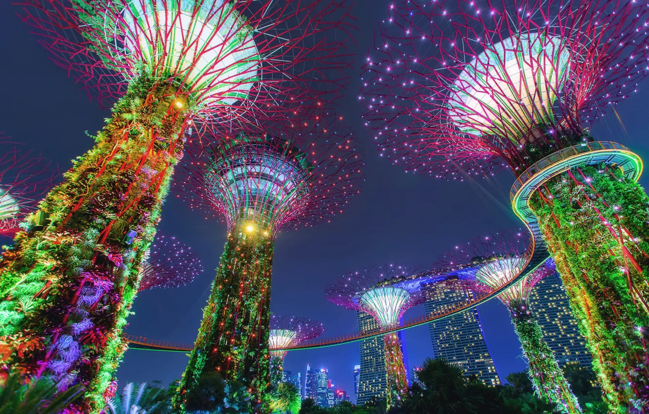 Фото обои парк, Сингапур, иллюминация, Singapore, Gardens by the Bay, Сады у Залива, сверхдеревья, Supertree Grove