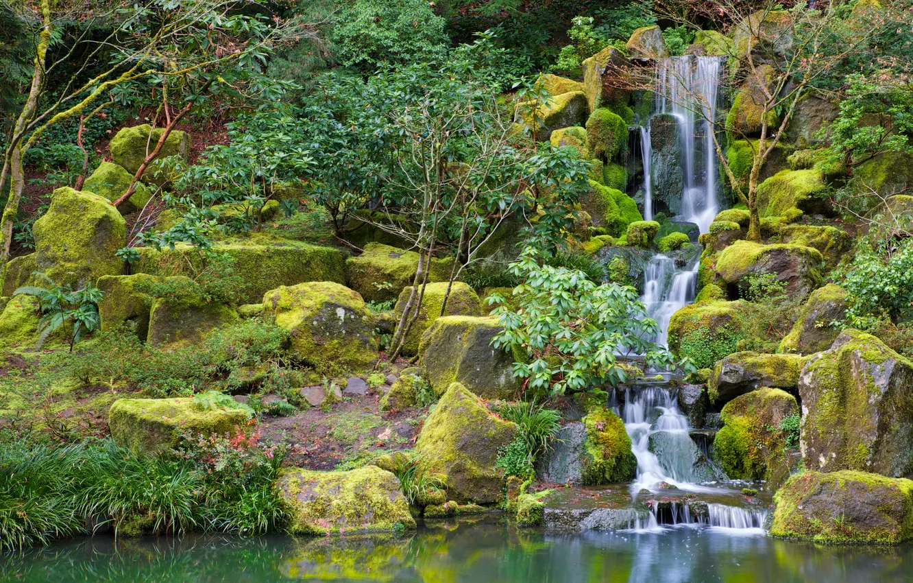 Фото обои лес, река, водопад, forest, river, landscape, waterfall, emerald