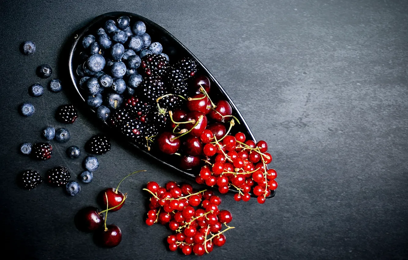 Фото обои ягоды, черника, смородина, ежевика