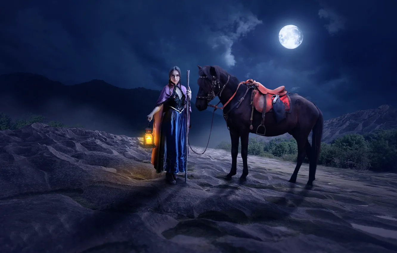 Фото обои девушка, ночь, конь, луна, фонарь, Imaginarium