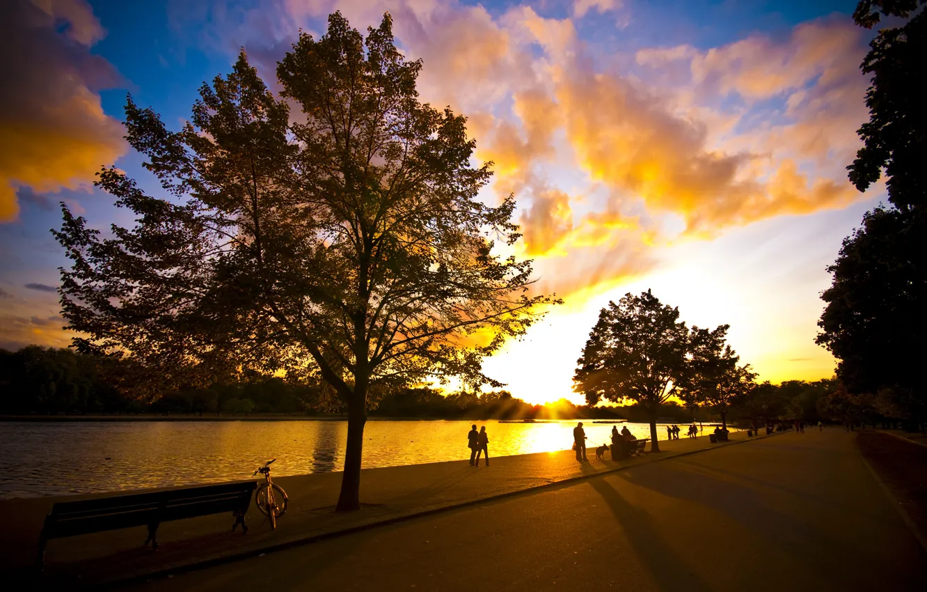 Фото обои лето, небо, солнце, деревья, велосипед, парк, река, люди
