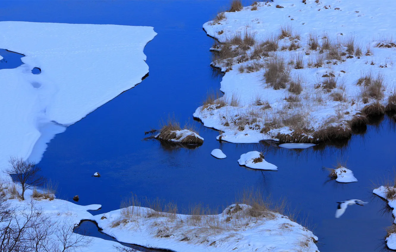 Фото обои зима, снег, природа, река, берег, Япония