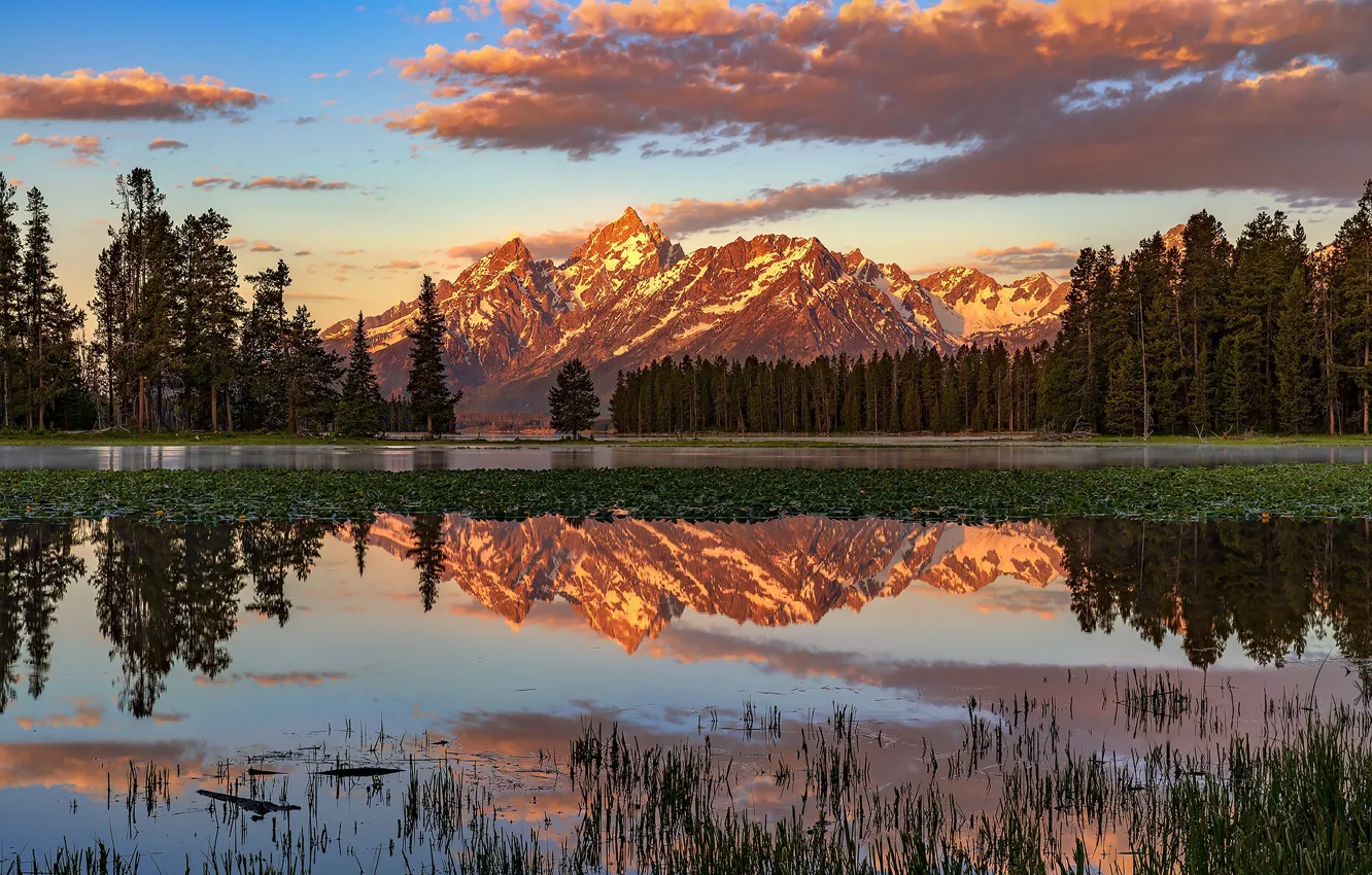 Фото обои лес, свет, горы, отражение, берег, вершины, ели