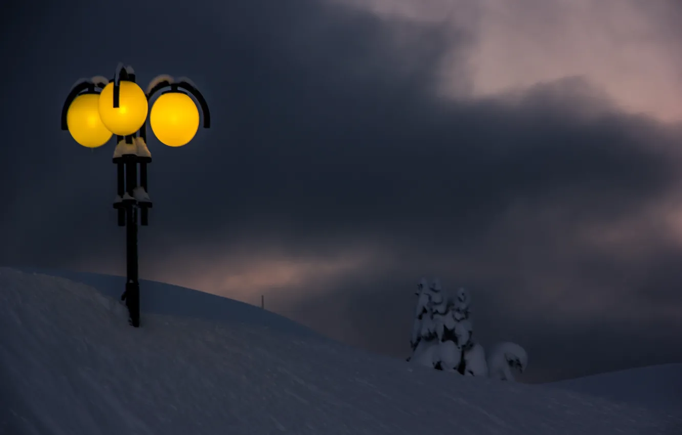 Фото обои storm, winter, snow, lamppost