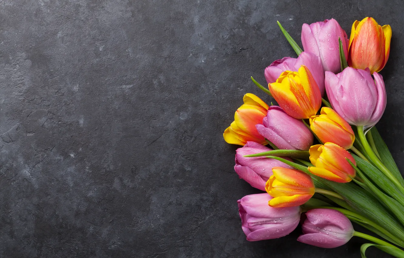 Фото обои цветы, букет, colorful, тюльпаны, pink, flowers, tulips, spring