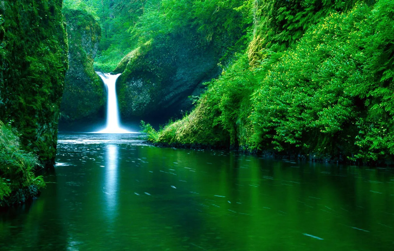 Фото обои зелень, река, водопад