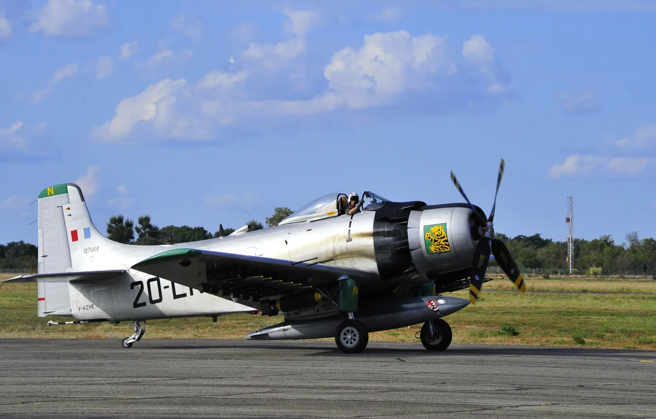 Фото обои aviation, Douglas, Skyraider
