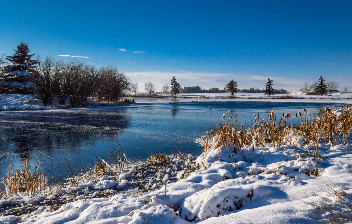 Фото обои зима, небо, снег, деревья, река