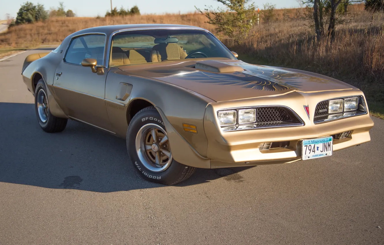 Фото обои Pontiac, 1978, Gold, Trans