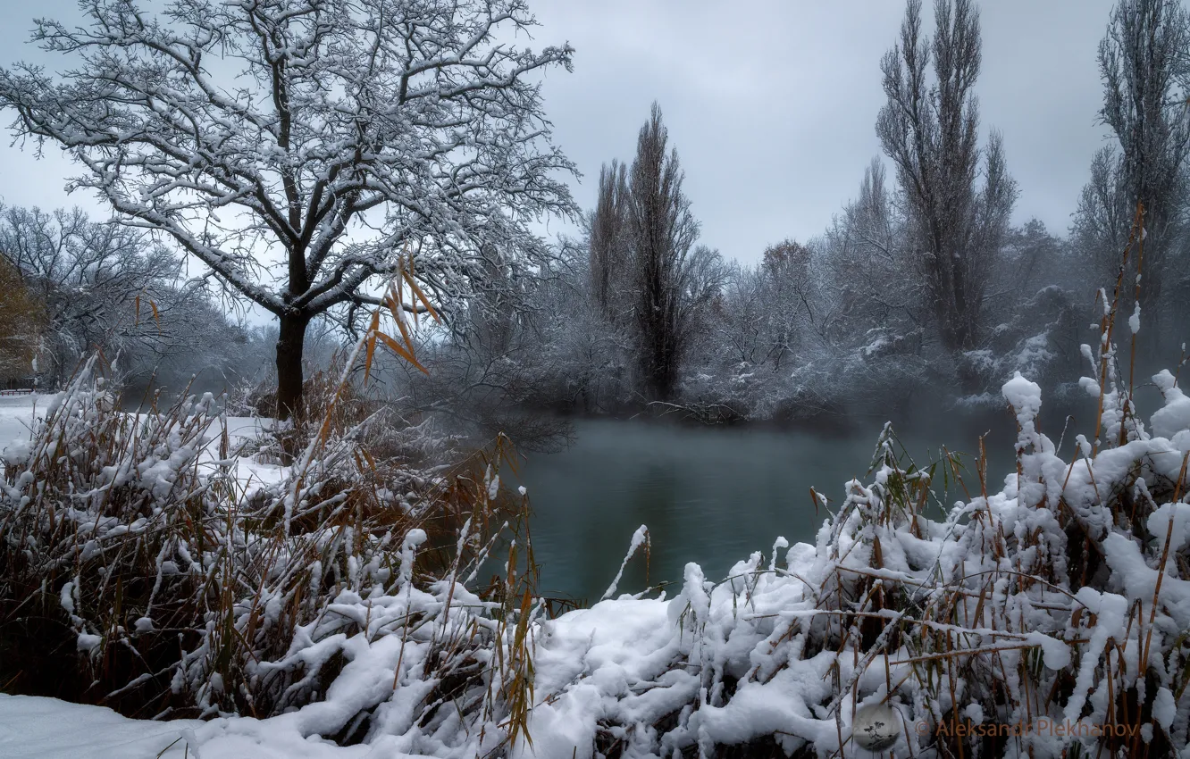 Фото обои зима, вода, снег, деревья, пейзаж, природа, кусты, Александр Плеханов
