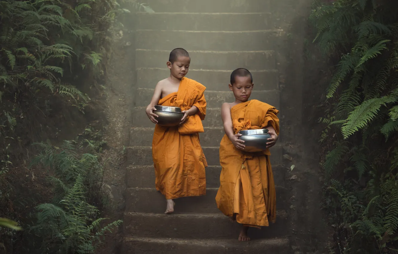 Фото обои nature, boy, asian, monk