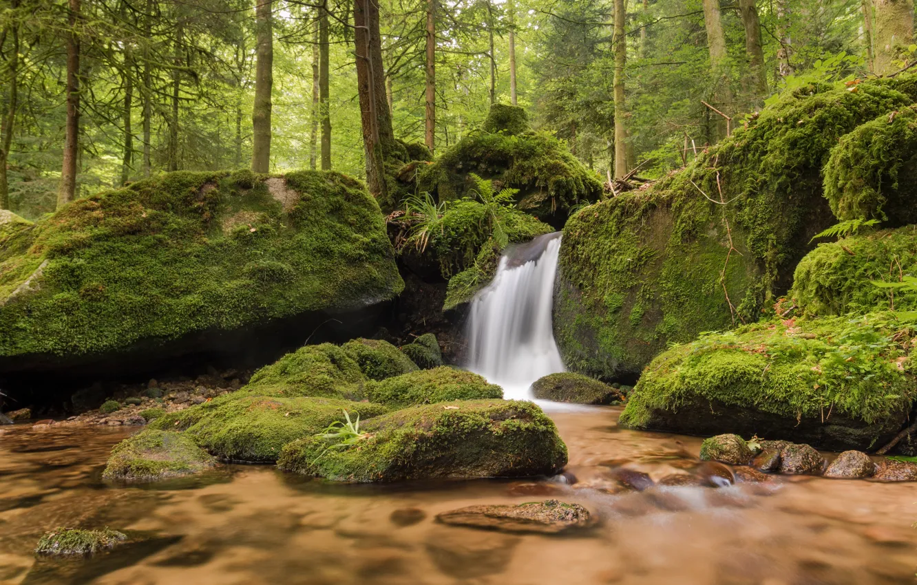 Фото обои лес, камни, водопад, мох, Германия, речка, Germany, Баден-Вюртемберг