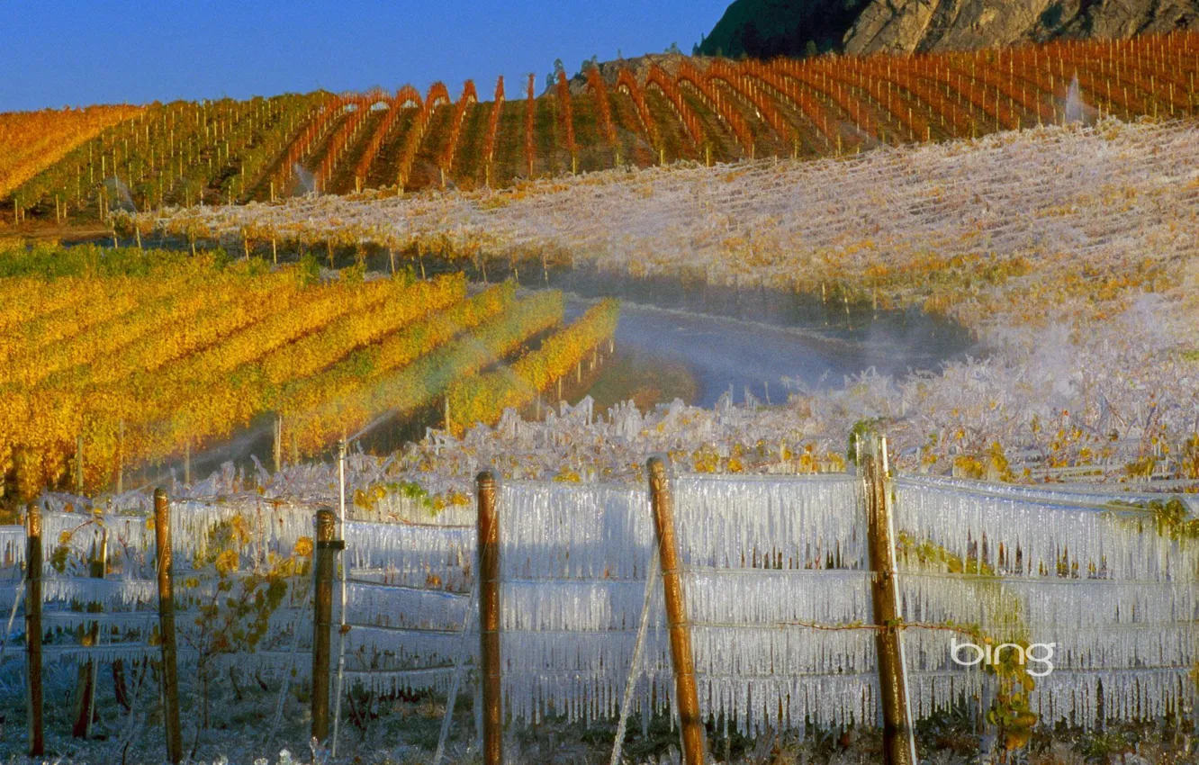 Фото обои лед, осень, небо, свет, пейзаж, горы, виноград, виноградник