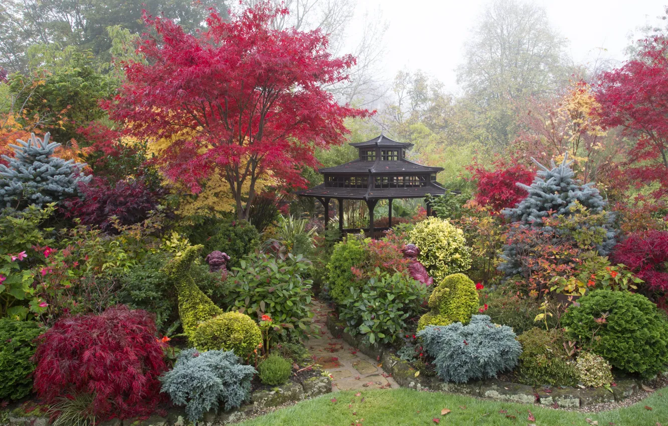 Фото обои осень, деревья, туман, газон, Англия, сад, беседка, кусты