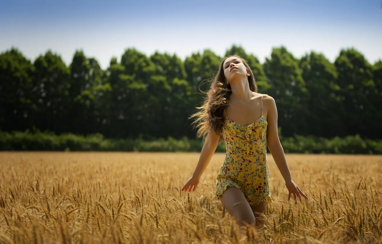 Фото обои пшеница, поле, лето, девушка, природа, волосы