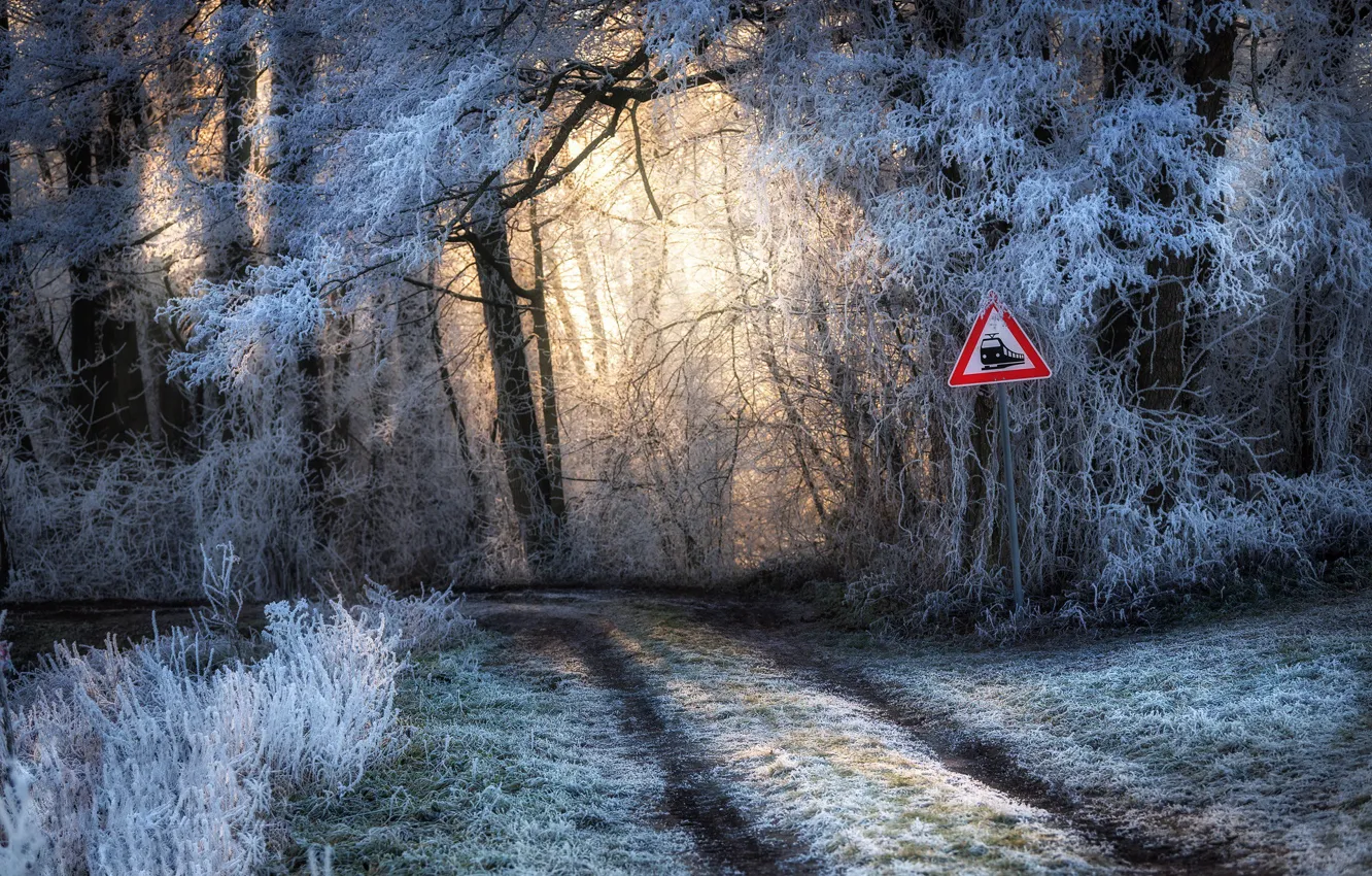 Фото обои зима, дорога, лес, знак