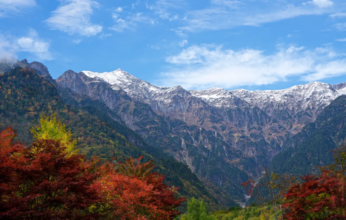 Фото обои осень, лес, небо, облака, деревья, горы, скалы, Япония