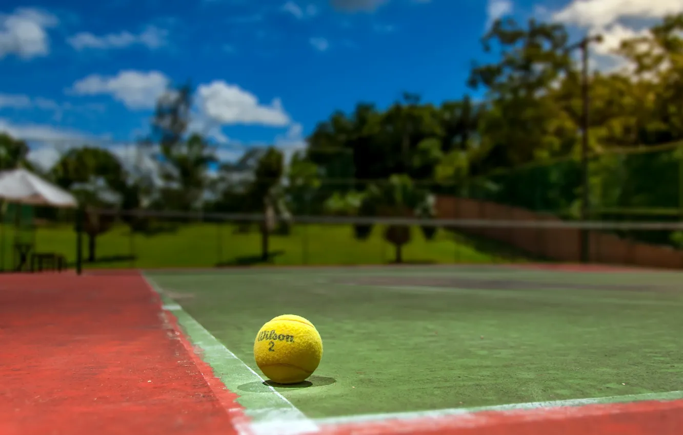 Фото обои спорт, мяч, теннис, корт