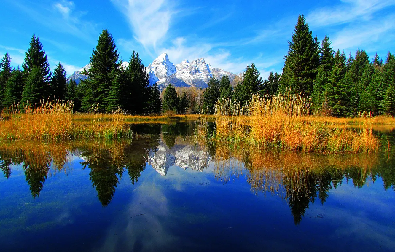 Фото обои небо, деревья, горы, озеро, отражение, ель, Вайоминг, США
