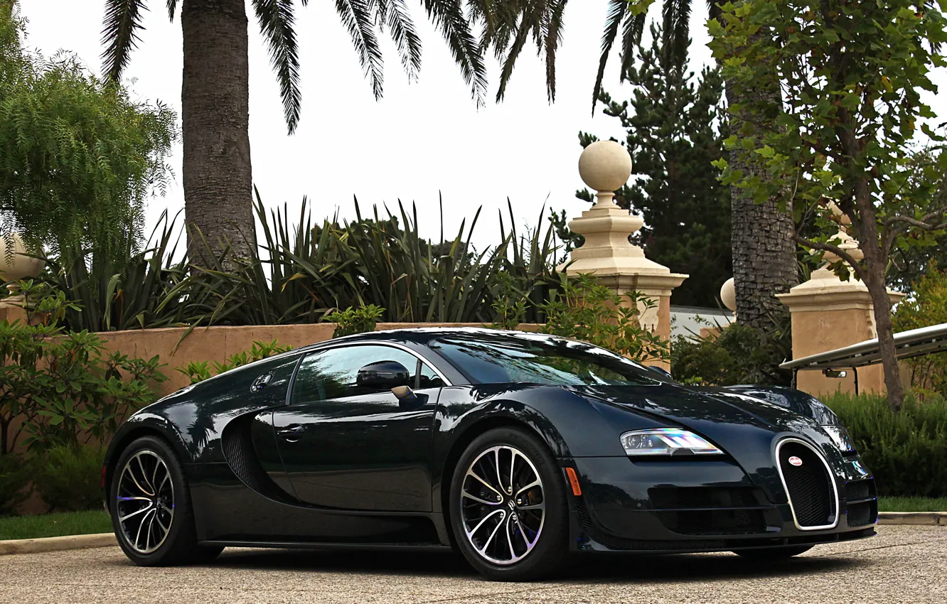Фото обои Bugatti, Veyron, Carbon, Blue, Super, Sport, Edition