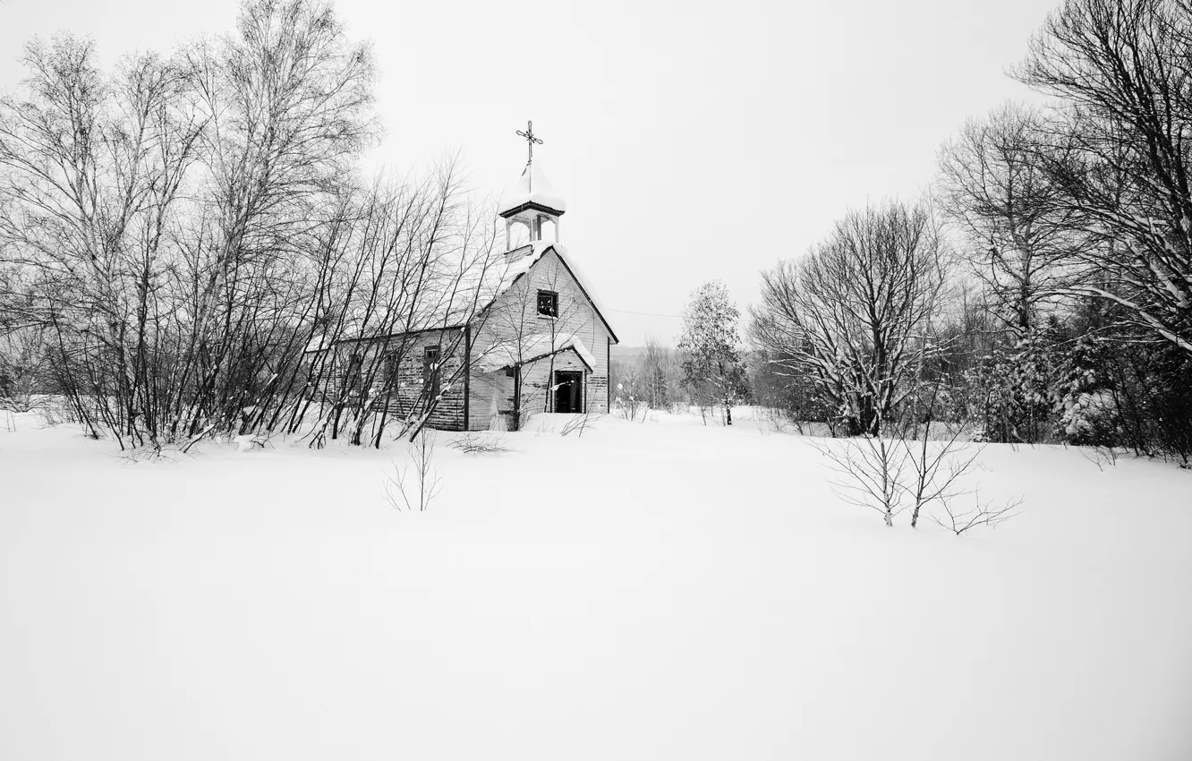 Фото обои зима, снег, деревья, церковь