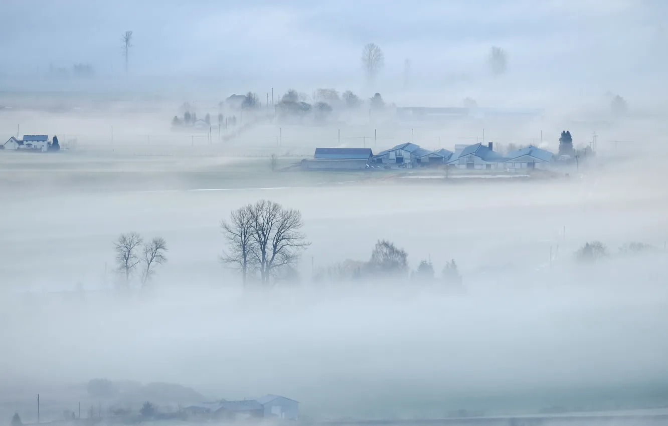 Фото обои природа, туман, долина