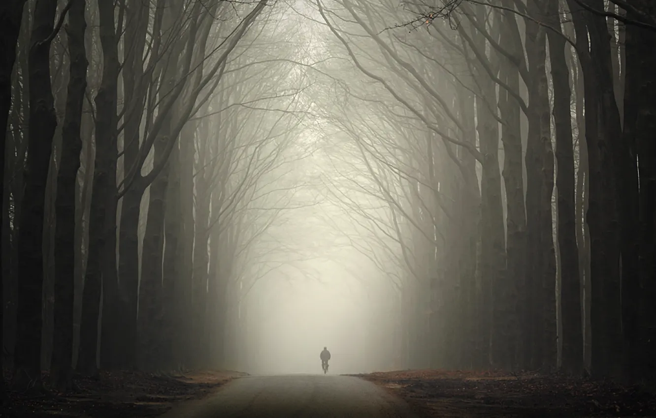 Фото обои дорога, осень, лес, туман, человек