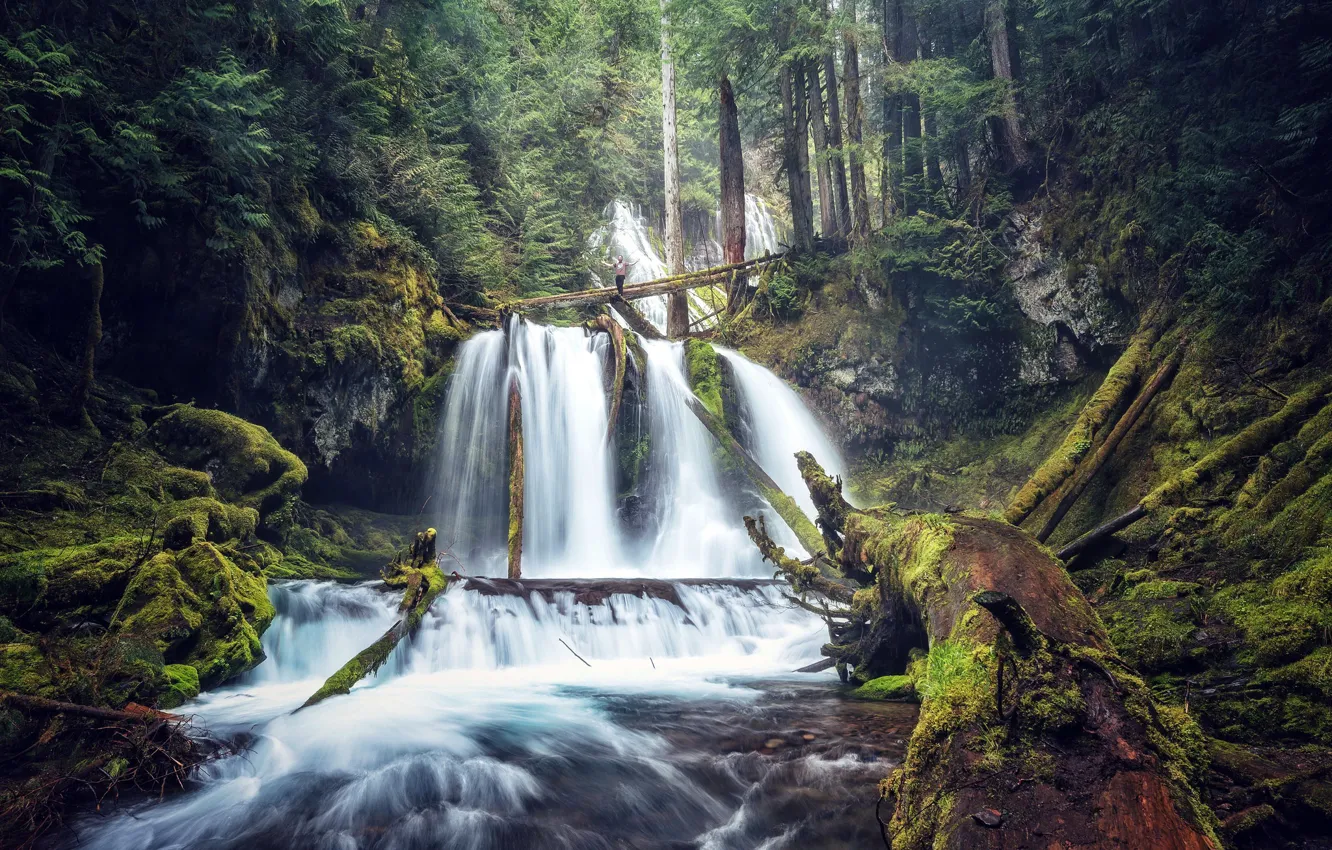 Фото обои лес, река, водопад