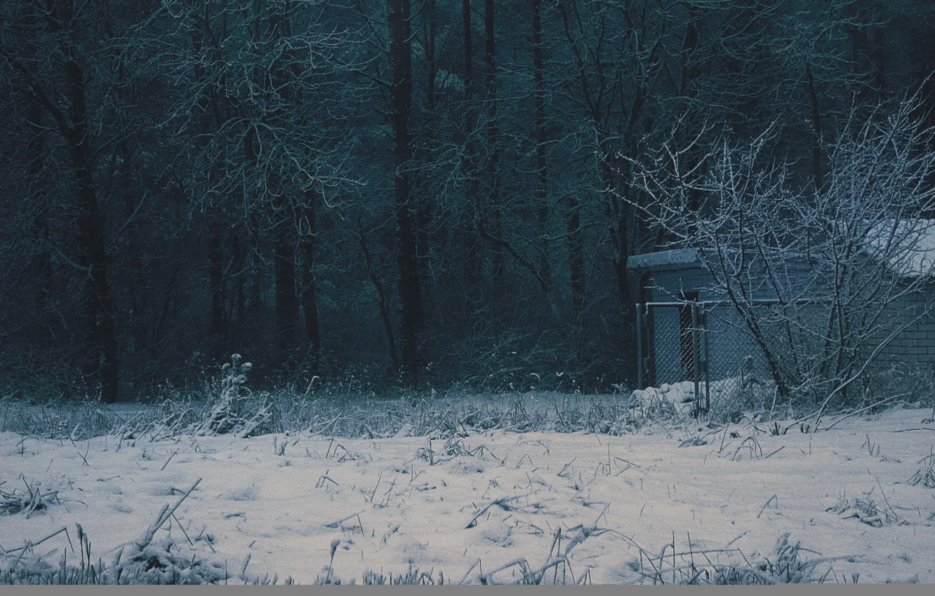 Фото обои зима, лес, природа, дом, обои, забор, темно, wallpaper
